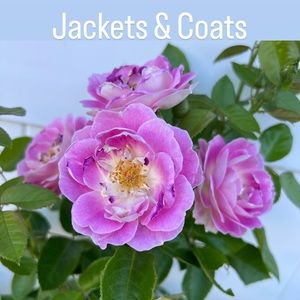 Jackets & Coats